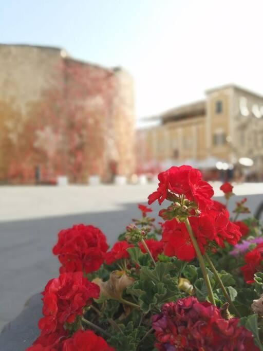 Appartamento Palau del Corso  Alghero Esterno foto