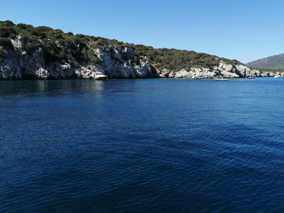 Appartamento Palau del Corso  Alghero Esterno foto