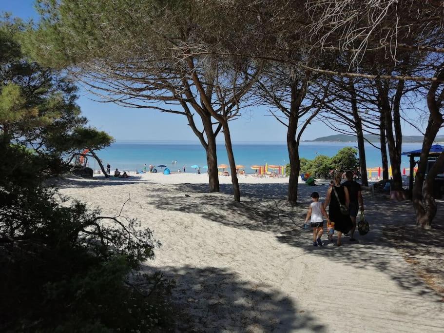 Appartamento Palau del Corso  Alghero Esterno foto